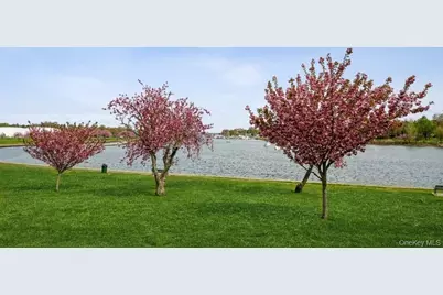 1015 Old Post Road #3N, Mamaroneck, NY 10543 - Photo 40