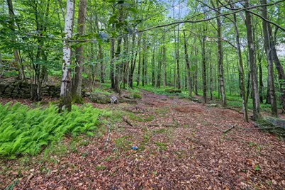 65 Timber Hill Lane, South Fallsburg, NY 12779 - Photo 28