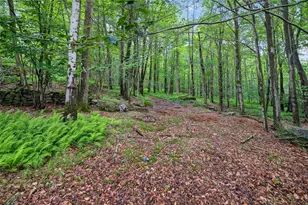 65 Timber Hill Ln, South Fallsburg, NY 12779 - Photo 28