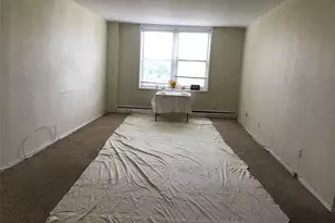 54-40 Little Neck Pkwy, Little Neck, NY 11362 - Photo 12