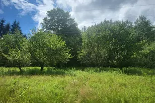 ** Creamery Rd, Mongaup Valley, NY 12720 - Photo 4