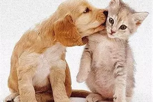 118-11 84th Ave, Kew Gardens, NY 11415 - Photo 30