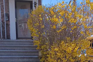 1774 Pitman Ave, Bronx, NY 10466 - Photo 4