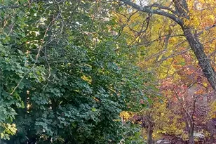 1774 Pitman Ave, Bronx, NY 10466 - Photo 30