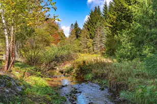 178 Aden Rd, Liberty, NY 12754 - Photo 20