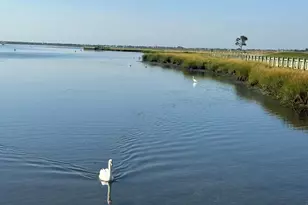 328 W Ivy Hill Rd, Woodmere, NY 11598 - Photo 32