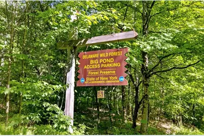 2018 Beaverkill Road, Livingston Manor, NY 12758 - Photo 20