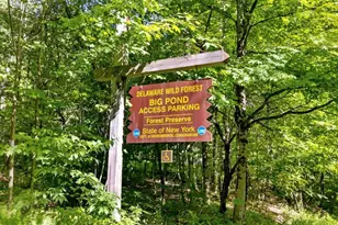 2018 Beaver Kill Rd, Livingston Manor, NY 12758 - Photo 20