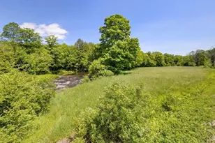 2018 Beaver Kill Rd, Livingston Manor, NY 12758 - Photo 12