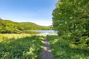 2018 Beaver Kill Rd, Livingston Manor, NY 12758 - Photo 24