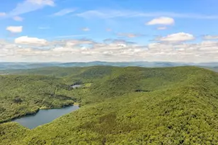 2018 Beaver Kill Rd, Livingston Manor, NY 12758 - Photo 22