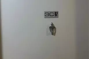 112-02 Northern Blvd, Corona, NY 11368 - Photo 4