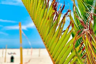 24 Lowerre St, Babylon, NY 11702 - Photo 30