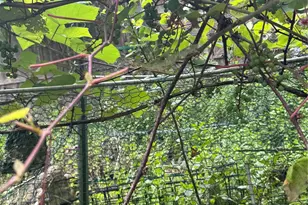 89 Minisink Trail, Glen Spey, NY 12737 - Photo 20