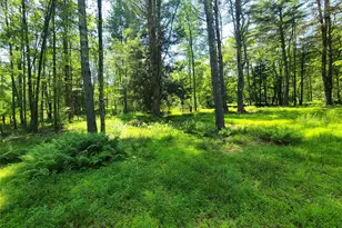 28 Martin Ln, Mongaup Valley, NY 12762 - Photo 34