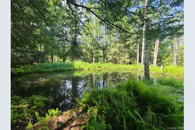 28 Martin Lane, Mongaup Valley, NY 12762 - Photo 28