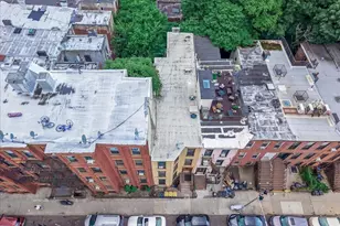 1018 Halsey St, Brooklyn, NY 11207 - Photo 14