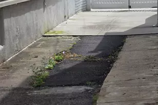 117-17 146th St, Jamaica, NY 11436 - Photo 14