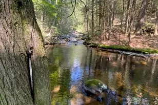 437 Hollow Rd, Glen Spey, NY 12737 - Photo 12