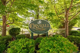 107 Cornwall Meadows Ln, Patterson, NY 12563 - Photo 4