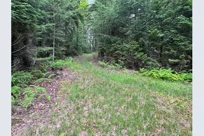 698 Cooley Road, Parksville, NY 12768 - Photo 26