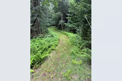 698 Cooley Road, Parksville, NY 12768 - Photo 28