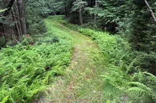 698 Cooley Rd, Parksville, NY 12768 - Photo 28