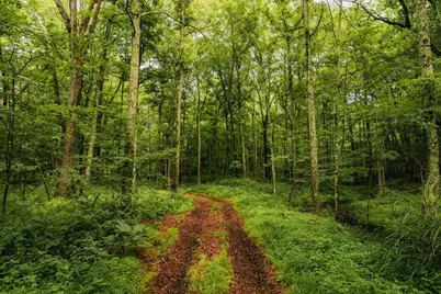 358 Shelley Hill Road, Stanford, NY 12581 - Photo 30