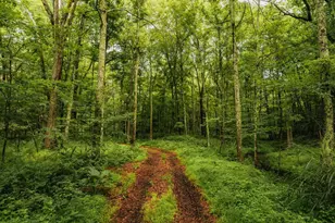 358 Shelley Hl Rd, Stanford, NY 12581 - Photo 30