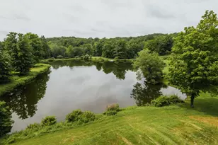 358 Shelley Hl Rd, Stanford, NY 12581 - Photo 44