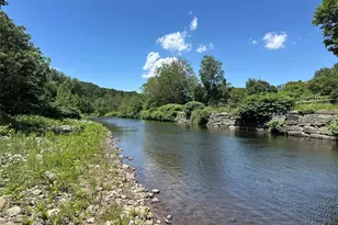 40 River St, Livingston Manor, NY 12758 - Photo 6