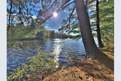 25 George Segar Road, Swan Lake, NY 12783 - Photo 22