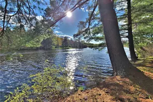 25 George Segar Rd, Swan Lake, NY 12783 - Photo 22