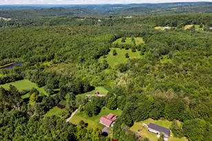 788 Fox Mountain Rd, White Sulphur Springs, NY 12758 - Photo 2