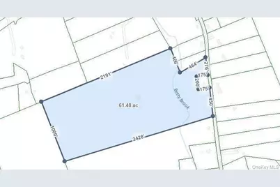 613 Betty Brook Road, Call Listing Agent, NY 13842 - Photo 32