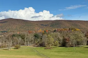 1131 E Ancram Rd, Ancramdale, NY 12503 - Photo 14