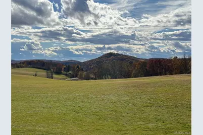 1131 E Ancram Road, Ancramdale, NY 12503 - Photo 18