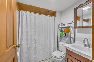 94 Hastings Dr, Grahamsville, NY 12740 - Photo 38