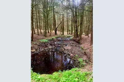 111 Deer Meadow Road, Bethel, NY 12720 - Photo 38