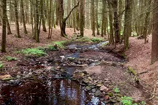 111 Deer Meadow Rd, Bethel, NY 12720 - Photo 38