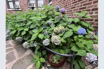 3392 Wayne Avenue #F42, Bronx, NY 10467 - Photo 26