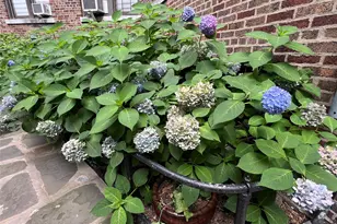 3392 Wayne Ave, Bronx, NY 10467 - Photo 26