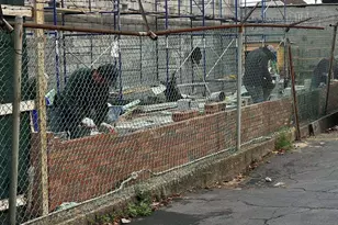 150-24 12th Rd, Whitestone, NY 11357 - Photo 8