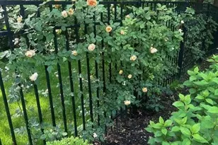 2 Soundview Dr, Port Jefferson, NY 11777 - Photo 42