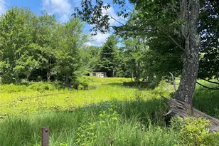 15 Bailey Lake Rd, Kiamesha Lake, NY 12751 - Photo 22