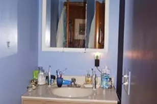 15 Bailey Lake Rd, Kiamesha Lake, NY 12751 - Photo 10