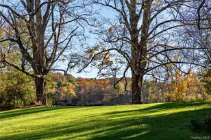 729 Cold Spring Rd, Stanford, NY 12581 - Photo 40