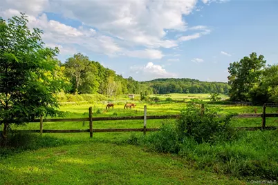 729 Cold Spring Road, Stanford, NY 12581 - Photo 30