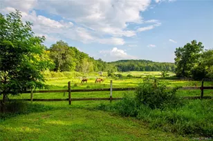 729 Cold Spring Rd, Stanford, NY 12581 - Photo 30