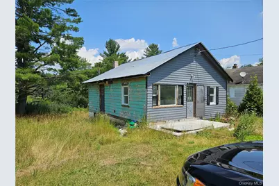 625 Briscoe Road, Swan Lake, NY 12783 - Photo 1